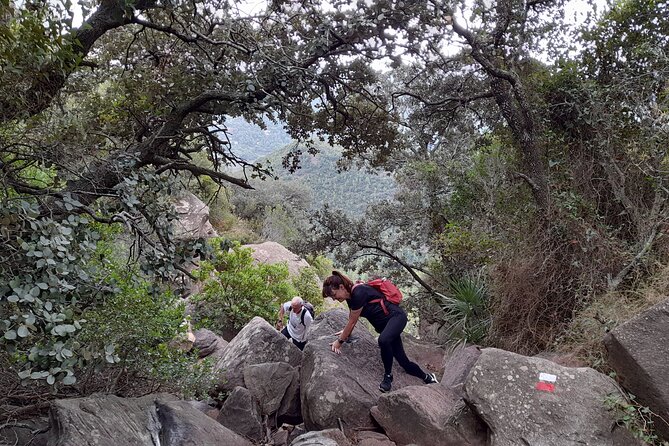 The Adventurous Route to Mirador Del Garbí - Private Tour Experience