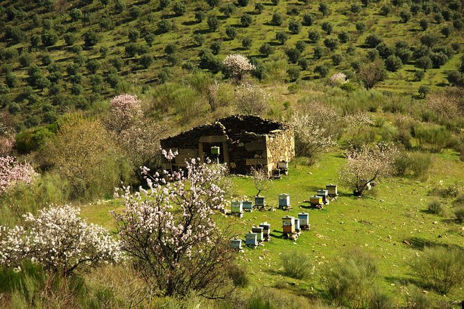 The Almond Blossom - Cancellation Policy