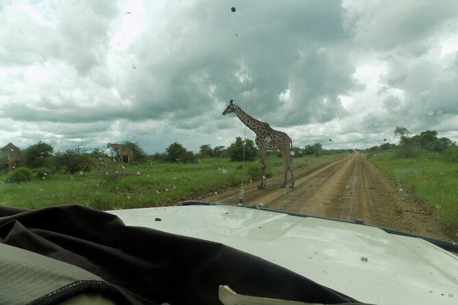 The Amaizing Private Day Trip to the Lovely Arusha National Park - Pickup and Meeting Details