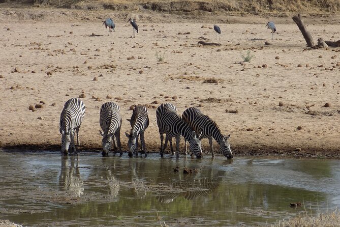 The Amaizing Private Day Trip to the Lovely Arusha National Park - Booking Information