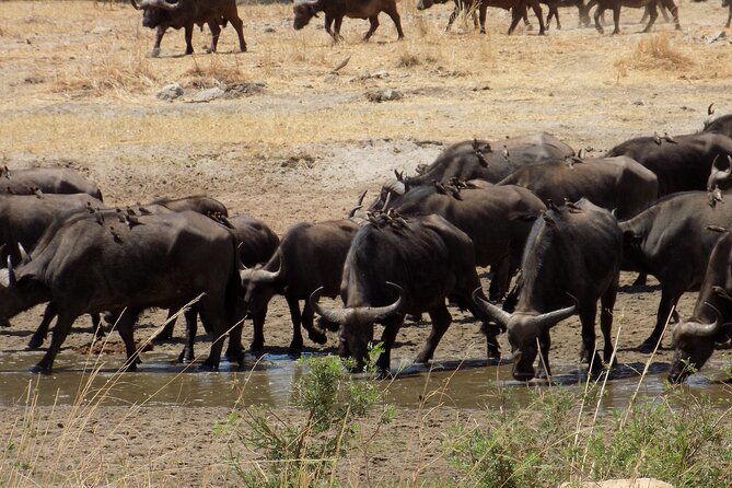 The Amaizing Private Day Trip to the Lovely Arusha National Park - Breathtaking Landscapes