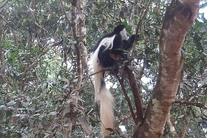 The Amaizing Private Day Trip to the Lovely Arusha National Park - Expert Guidance