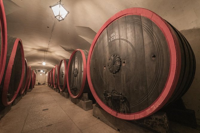 The Amarone Chateau Guided Tour and Tasting in Valpolicella - Guest Reviews and Feedback