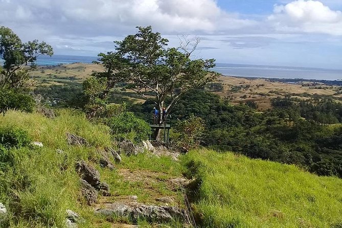 The Amazing Highlights of Nadi and Veseisei ( Private Tour ) - Accessibility and Mobility