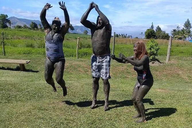 The Amazing Highlights of Nadi and Veseisei ( Private Tour ) - Highlights of Nadi
