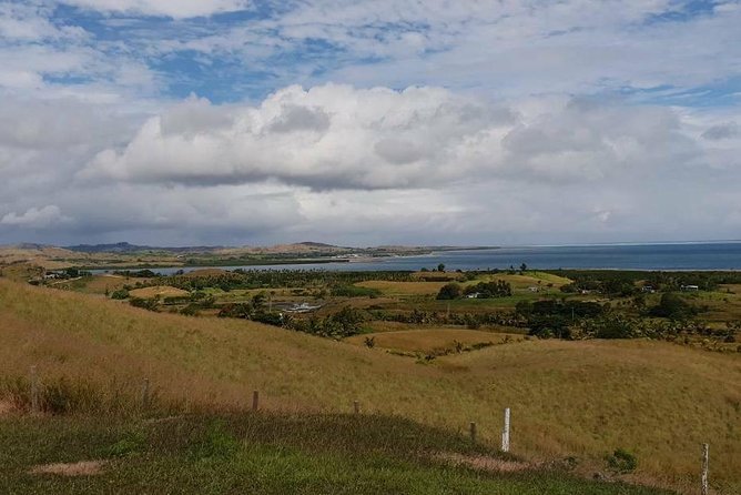 The Amazing Highlights of Nadi and Veseisei ( Private Tour ) - Tour Pricing and Cancellation