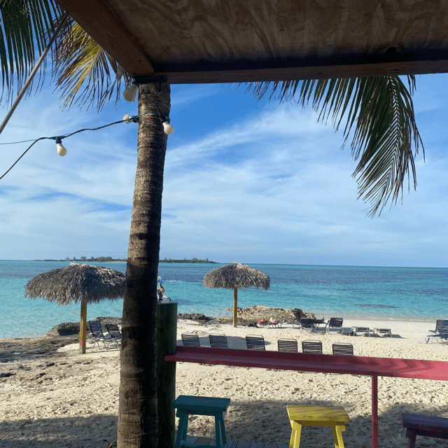 The Amazing Party Excursion - Amenities and Inclusions