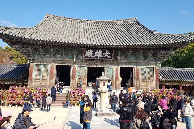The Ancient City of Brilliant Shilla Kingdom - Gyeongju in One Day( or Overnite) - Accessibility and Participation