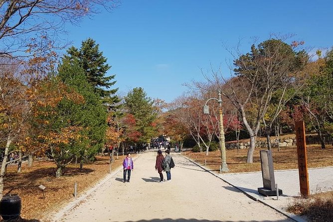 The Ancient City of Brilliant Shilla Kingdom - Gyeongju in One Day( or Overnite) - Cultural Highlights of Gyeongju