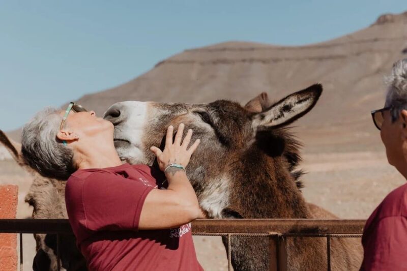 The Animal Academy - Shelter Tour - Shelters Mission and Conservation Efforts