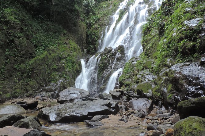 The Anton Valley Tour From Panama City - Reviews and Experiences