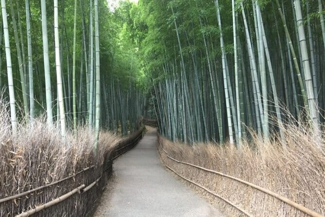 The Art of Geisha: Exclusive Show & Traditional Japanese Game - Taking in the Ambiance of Kyoto