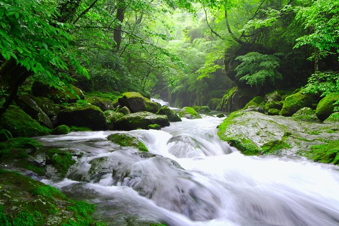 The Aso Caldera & WAGYU Lunch One Day Tour From Fukuoka - Pickup Information