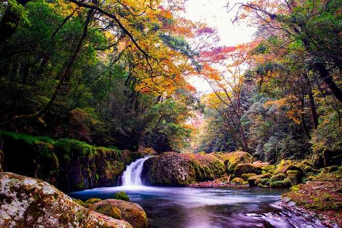 The Aso Caldera & WAGYU Lunch One Day Tour From Fukuoka - Tour Details