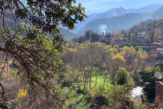 The Atlas Mountains and 5 Valleys Day Trip From Marrakech With Berber Lunch - Tour Group Size