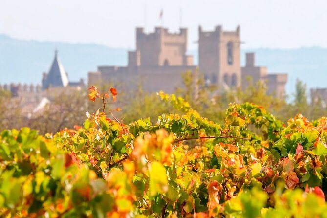 The Authentic Rioja Alavesa Experiences. - Pintxos Tasting in Laguardia