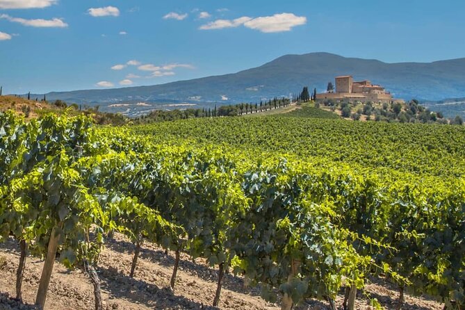 The Authentic Rioja Alavesa Experiences. - Comfortable and Customizable Transport