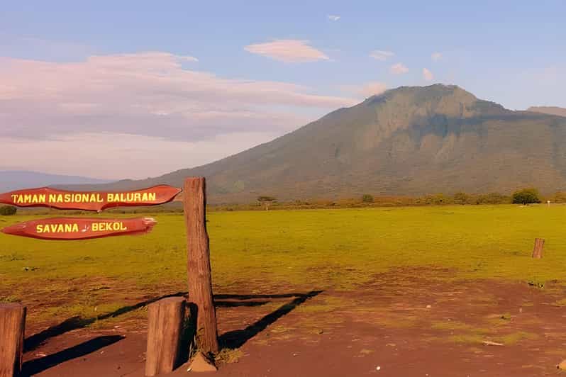 The Authentic Sunset Of Baluran National Park Banyuwangi - Itinerary Highlights