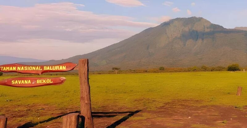The Authentic Sunset Of Baluran National Park Banyuwangi - Wildlife and Biodiversity