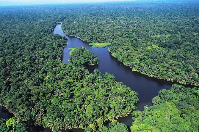 The Authentic Tortuguero National Park One Day Tour - Transportation and Meeting Details