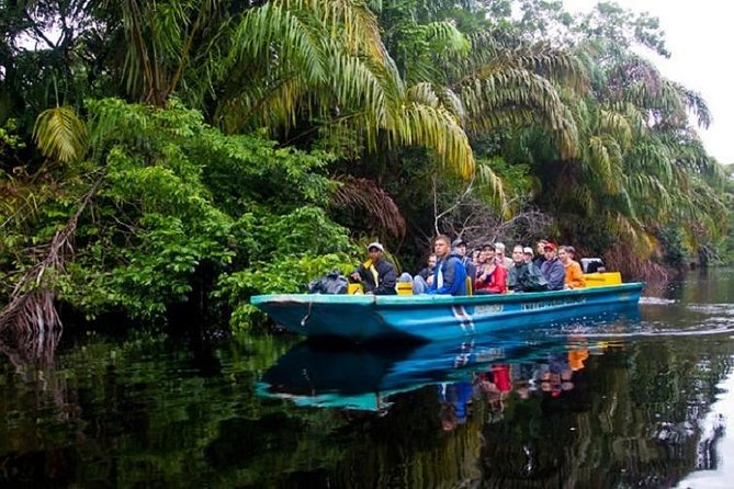 The Authentic Tortuguero National Park One Day Tour - Guides Expertise and Experience