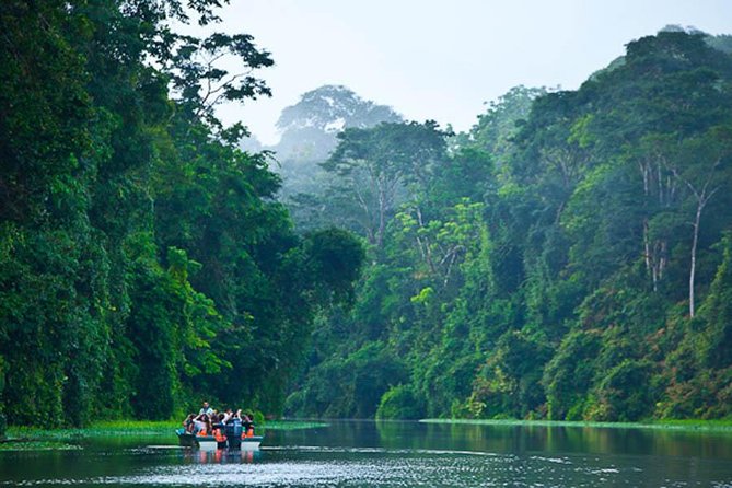 The Authentic Tortuguero National Park One Day Tour - Traveler Reviews and Feedback