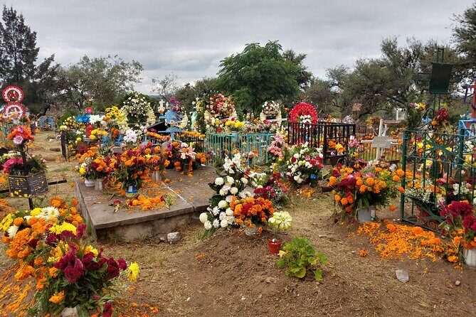 The authentic tour of the day of the dead in San Miguel d Allende - The Itinerary Breakdown