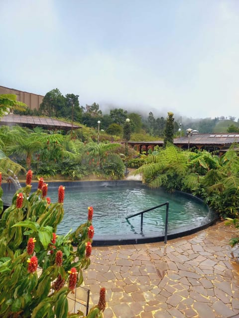 The Autumn Hot Springs Trip - Cancellation Policy
