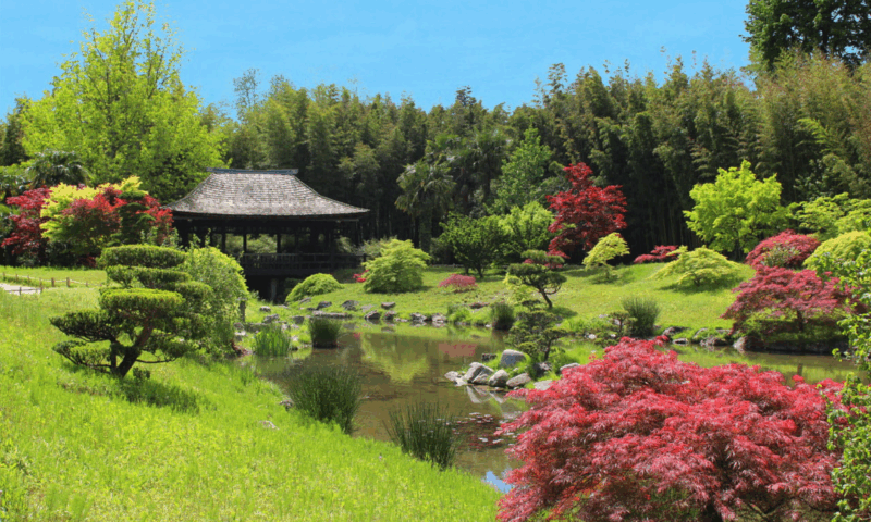 The Bamboo Grove in Cévennes Ticket - Experience Highlights