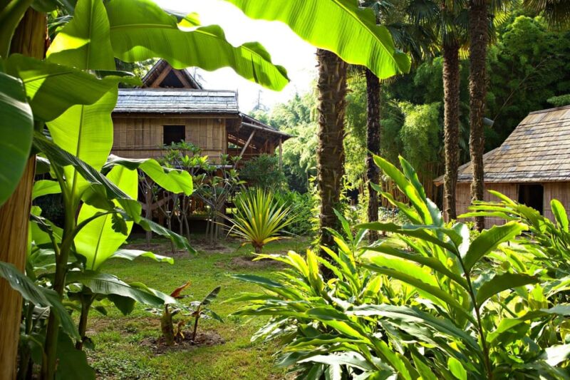 The Bamboo Grove in Cévennes Ticket - Environmental Commitment
