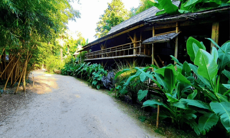 The Bamboo Grove in Cévennes Ticket - Seasonal Events and Activities