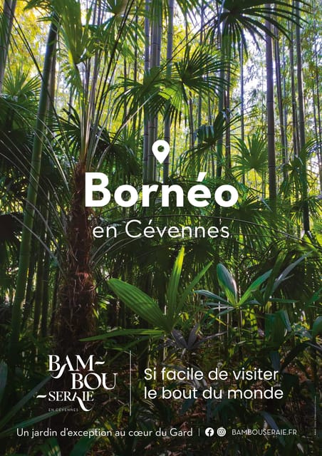 The Bamboo Grove in Cévennes Ticket - Recommendations for Visitors