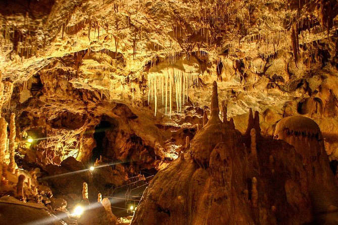 The Bears Cave - One-Day Air Conditioned Car Tour From Oradea - Quick Points
