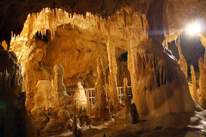 The Bears Cave - One-Day Air Conditioned Car Tour From Oradea - Ethnographic Museum Experience