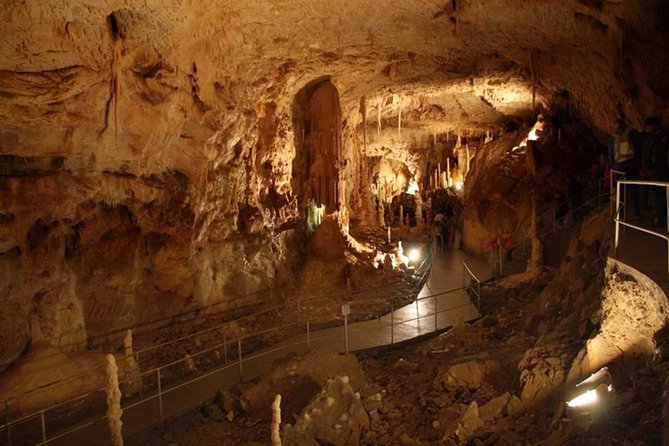 The Bears Cave - One-Day Air Conditioned Car Tour From Oradea - Since You Asked