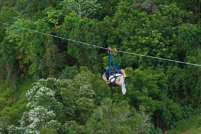 The Beast Zipline at Toroverde Adventure Park in Puerto Rico - Amenities and Accessibility