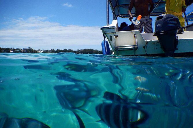 The Beautiful East of Mauritius:Incl Blue-Bay Marine Park, Crocodile Park &Lunch - Tour Overview