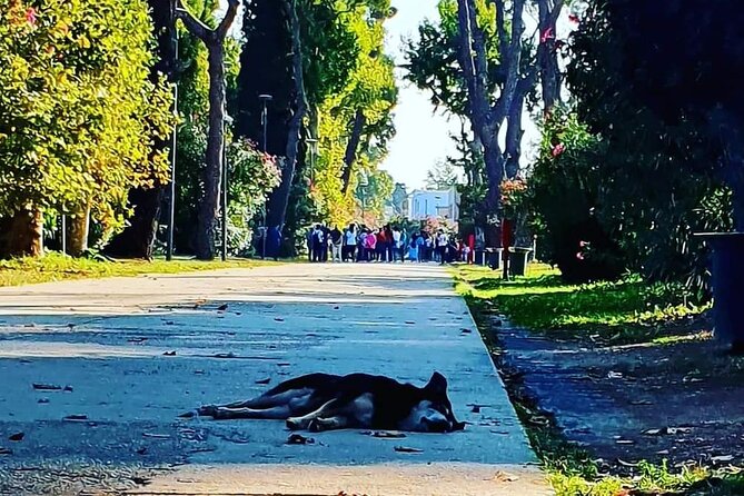 The Beautiful Pompeii, Two-Hour Tour to Discover the Hidden Places of the City - Positive Review Highlights
