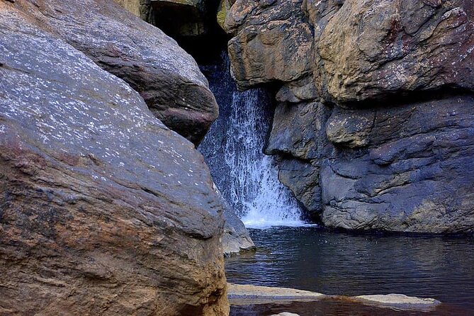 The Beauty And Culture Of Coorg - From Bangalore With Private Transfer - Private Transport From Bangalore