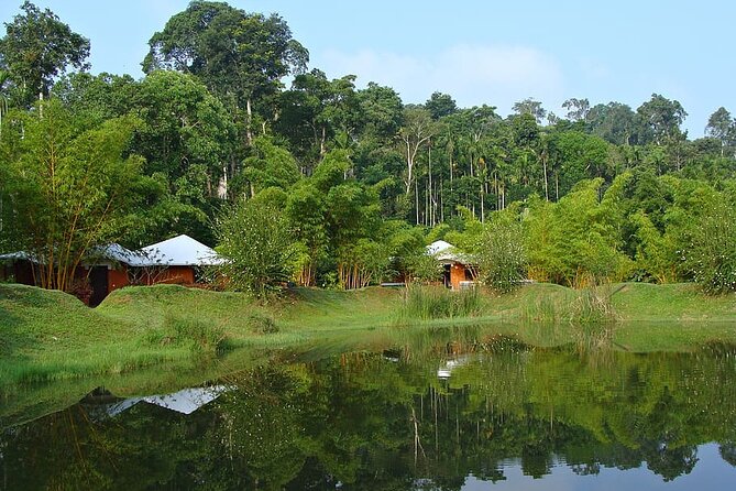 The Beauty And Culture Of Coorg - From Bangalore With Private Transfer - Savor Coorgs Culinary Delights