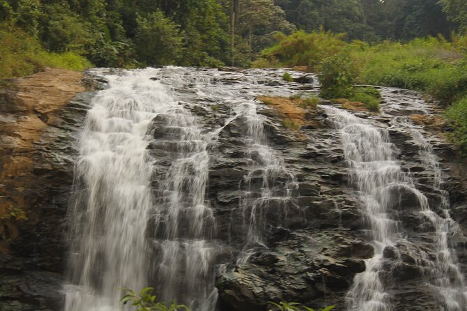 The Beauty And Culture Of Coorg - From Bangalore With Private Transfer - Tour Logistics and Important Details