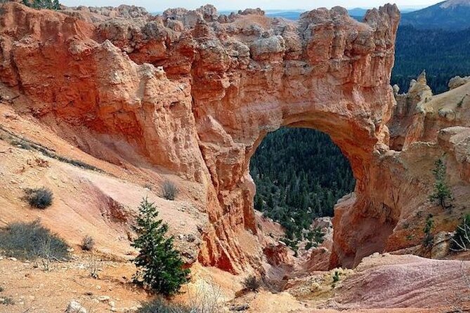 The Beauty of Bryce Canyon National Park: Full-Day Audio Driving Private Tour - Wildlife and Plant Life