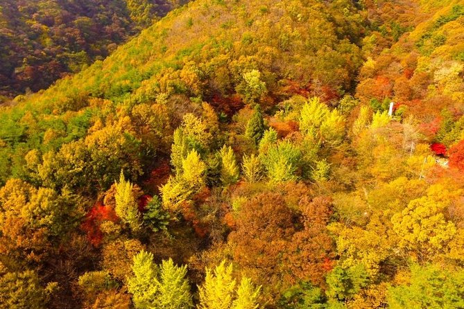 The Beauty of the Korea Fall Foliage Discover 9days 8nights - Jeju Island Adventure