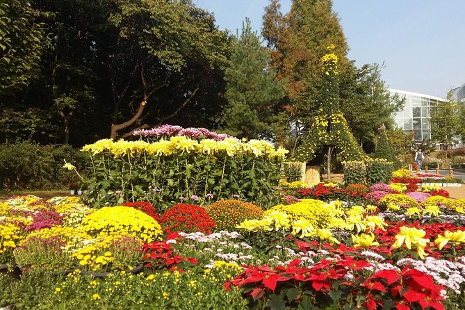 The Beauty of the Korea Fall Foliage Discover 9days 8nights - Booking and Logistics