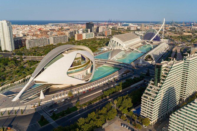 The Beauty of Valencia by Bike: Private Tour - Sustainability and Carbon-Neutrality