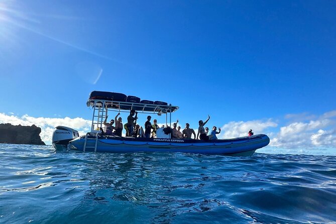The Best 2.5 Hour Molokini Snorkel Tour & Whale Watch - Accessibility and Health Restrictions