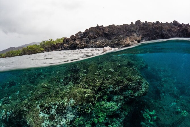 The Best 2.5 Hour Molokini Snorkel Tour & Whale Watch - What to Expect From the Snorkeling at Molokini