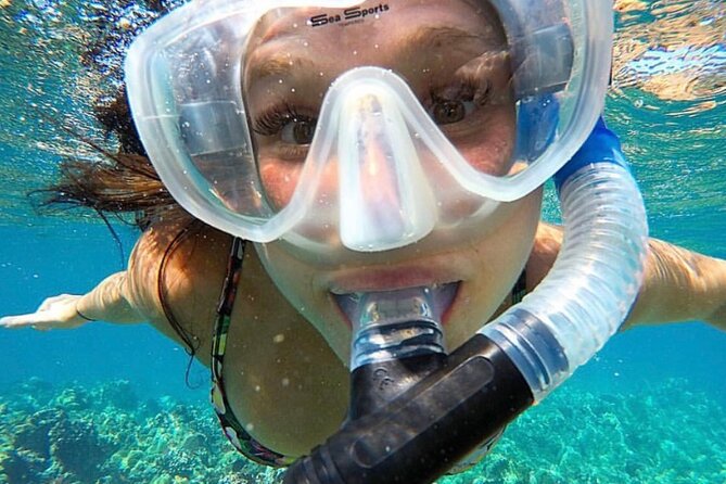 The Best 2.5 Hour Molokini Snorkel Tour & Whale Watch - The Thrill of Whale Watching on Maui