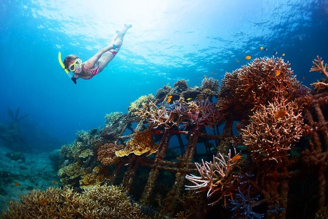 The Best 2-Point Snorkeling in Padangbai: Blue Lagoon and Tanjung Jepun - Breathtaking Scenery