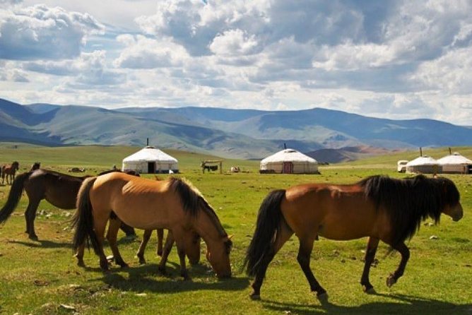 The Best 3 Day Tour in Mongolia - Transportation and Guidance